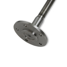 Load image into Gallery viewer, 02-121_03.jpg