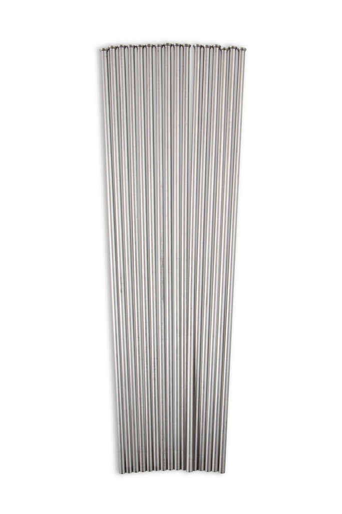 02464nos_18.jpg
