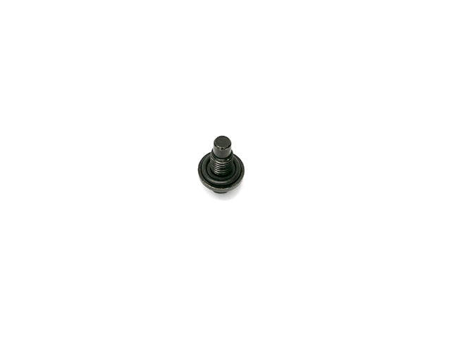 Engine Oil Drain Plug