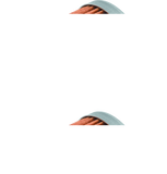 BikeMaster Honda BM-113 Oil Filter - Black