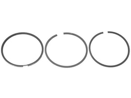 Piston Ring Set
