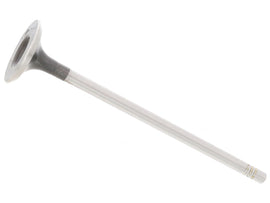 Exhaust Valve