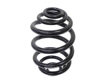 Load image into Gallery viewer, Coil Spring