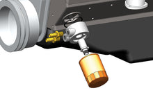 Load image into Gallery viewer, 25772-Illustration.jpg