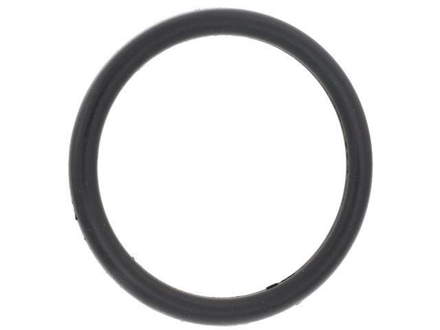 Coolant Flange O-Ring