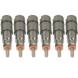 Injector Kit - 1998-2002 Dodge 24-valve 100hp - BD Diesel 1075823