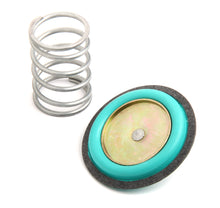 Load image into Gallery viewer, 12-824.jpg