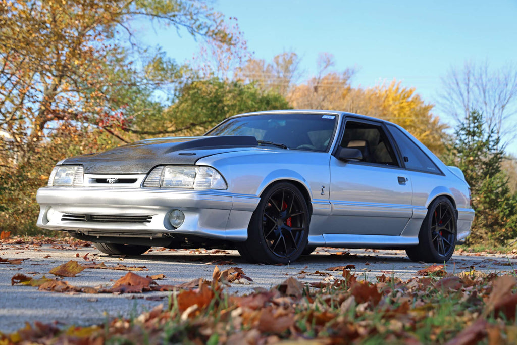 12127099-2.jpg