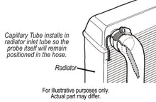 Load image into Gallery viewer, 16769-Illustration.jpg