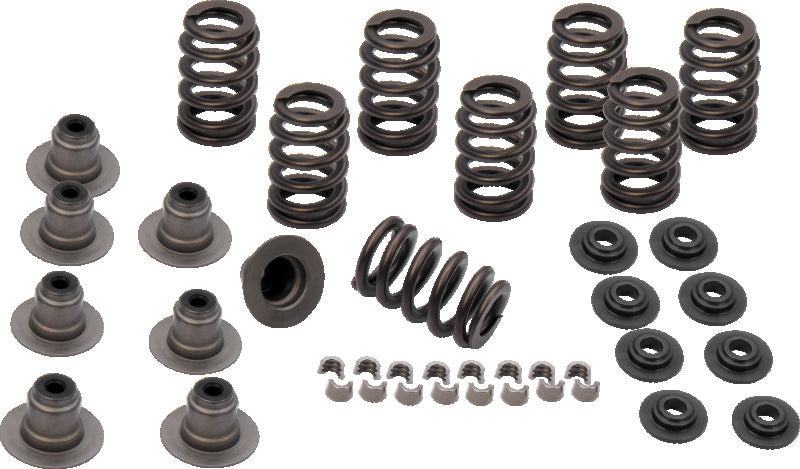 S&S Cycle 2017+ M8 Models Valve Spring Kit - .605in SSC900-0958