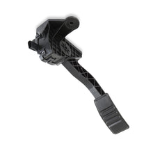 Load image into Gallery viewer, 145-212_02.jpg