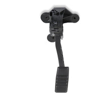 Load image into Gallery viewer, 145-212_03.jpg