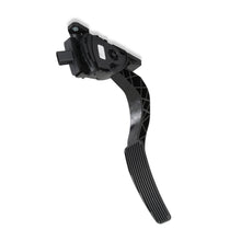 Load image into Gallery viewer, 145-312_02.jpg