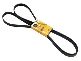 Belt 6PK X 2625
