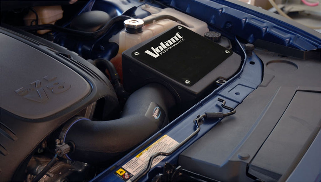 16857154b.jpg