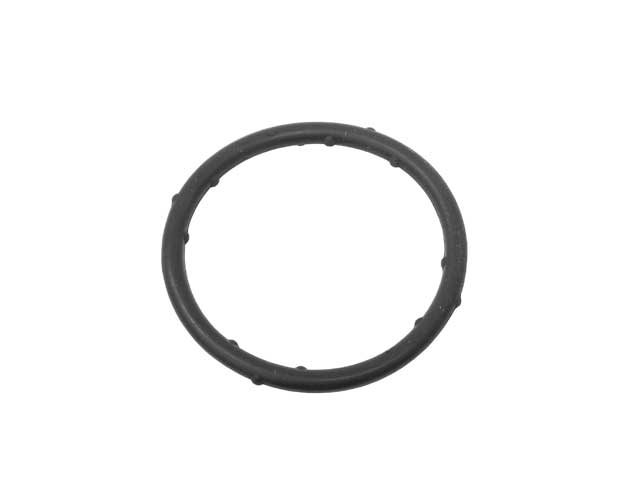 Coolant Flange Seal