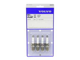 Spark Plug Kit