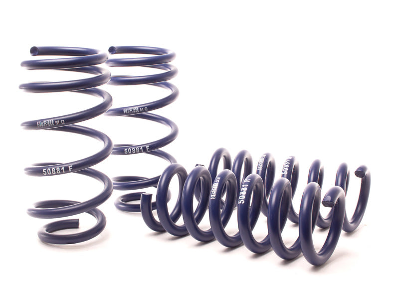 H&R 11-14 Dodge Charger RT (AWD) Max/Plus V8 Sport Spring HRS50881-4