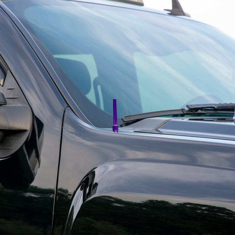 Wehrli 07.5-19 Chevrolet 6.6L Duramax Billet TIG Torch Stubby Antenna - Gloss Black WCFWCF100041-GB