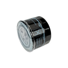 Load image into Gallery viewer, IAG-MNT-1007-02.jpg