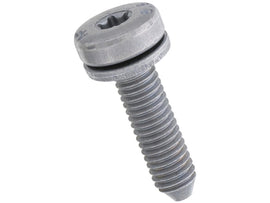 Transmission Pan Bolt