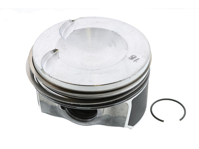 Piston w/Rings
