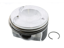 Piston w/Rings