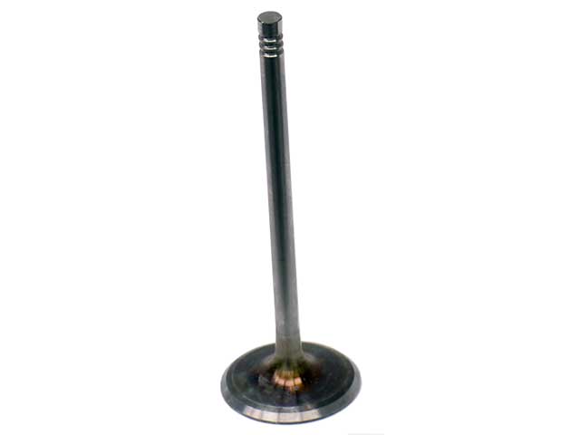 Intake Valve
