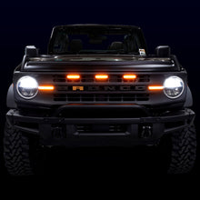 Load image into Gallery viewer, IAG-BDY-F3035-09.jpg