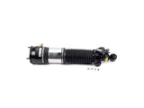 Arnott Industries Strut