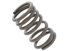 Load image into Gallery viewer, Valve Spring