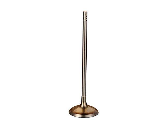 Intake Valve