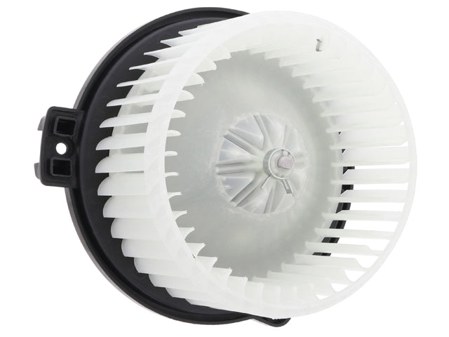 Blower Motor