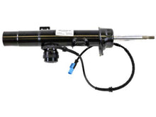 Load image into Gallery viewer, Strut