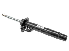 Load image into Gallery viewer, Strut