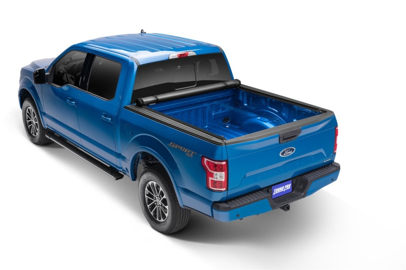 Tonno Pro 09-19 Ford F-150 5.5ft Styleside Lo-Roll Tonneau Cover TNPLR-3045