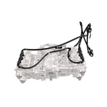 Load image into Gallery viewer, IAG-AFD-2631RD-02.jpg