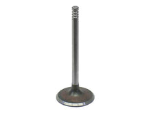 Load image into Gallery viewer, Intake Valve