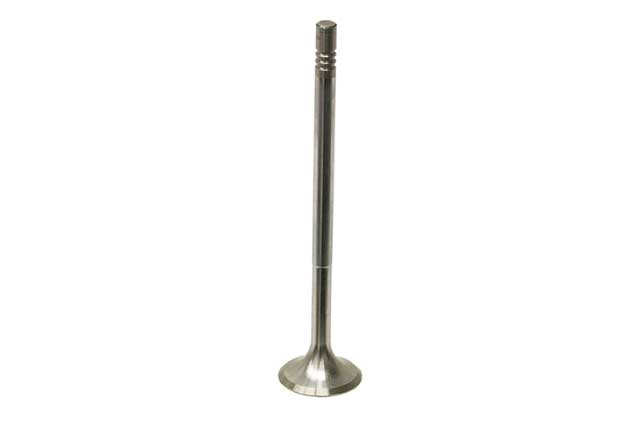 Exhaust Valve