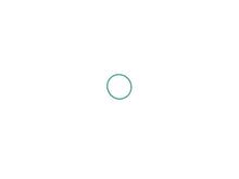 Load image into Gallery viewer, O-Ring