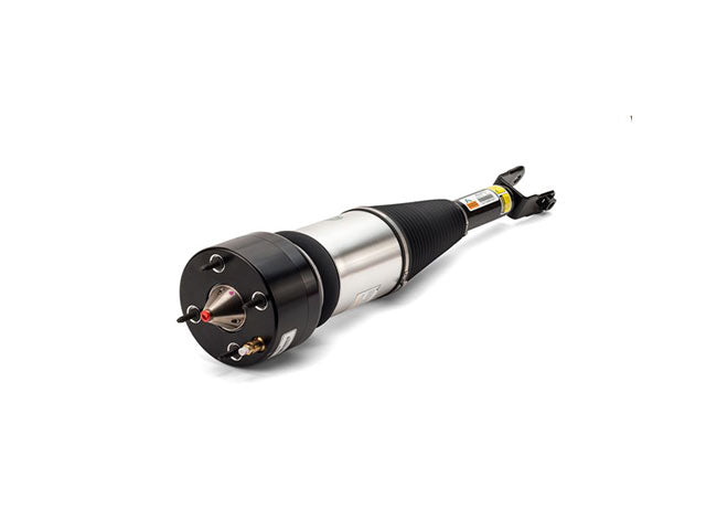 Strut Assembly