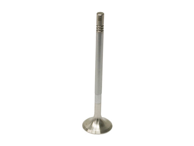 Exhaust Valve