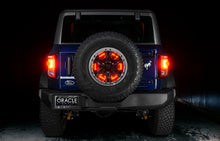 Load image into Gallery viewer, 4211-003_Bronco_12.jpg