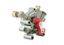 Load image into Gallery viewer, 45-224_08.jpg