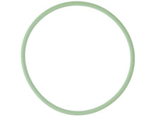 Load image into Gallery viewer, Fuel Pump O-Ring
