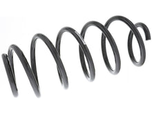 Load image into Gallery viewer, Coil Spring