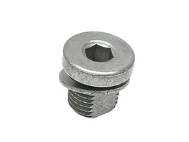 Bleeder Screw