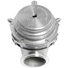 Load image into Gallery viewer, TiAL Sport MVS Wastegate (All Springs) w/Clamps - Silver TLS001931