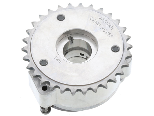 Timing Chain Sprocket