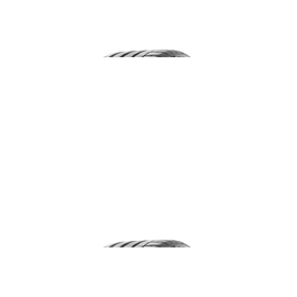 Michelin Pilot Sport 4 S 285/35ZR20 (104Y) XL MCH09209